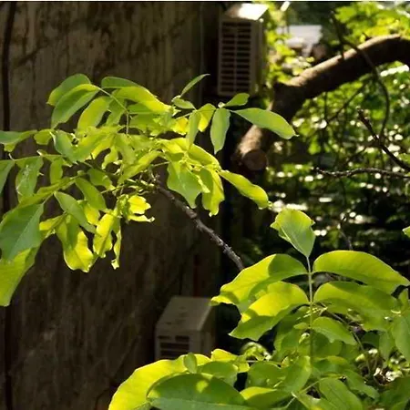Sunny Appartement *